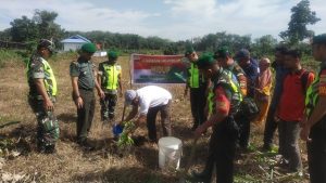 Jajaran Kodim 0313/KPR Laksanakan Giat Penanaman Pohon Dalam rangka program unggulan TNI AD