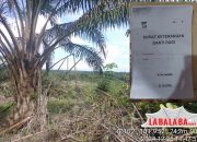 Pembersih Kebun Dikampar kiri Dijadikan tersangka, Kades Kuntu Darussalam Maldanis Berkilah tak ada surat
