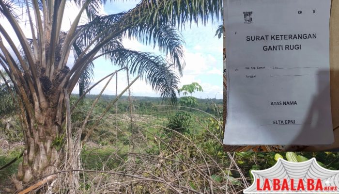 Pembersih Kebun Dikampar kiri Dijadikan tersangka, Kades Kuntu Darussalam Maldanis Berkilah tak ada surat