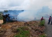 Sijago Merah Mengamuk, Hanguskan Sebuah Caffe Di Bangkinang,