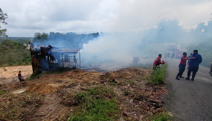 Sijago Merah Mengamuk, Hanguskan Sebuah Caffe Di Bangkinang,