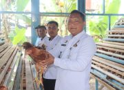 Lapas Pasir Pangaraian Tingkatkan Ketahanan Pangan Melalui Ternak Ayam Petelur