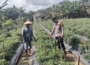 Polsek Ujung Batu Pantau Lahan Ketahanan Pangan di Desa Pematang Tebih