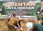 Kolaborasi Pemkab Rokan Hulu dan PT SAI dalam Penanaman Jagung Serentak 1 Juta Hektar