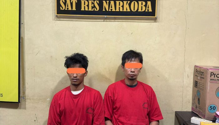 Dua Pengedar Narkoba di Rokan Hulu Diciduk, 19 Paket Sabu dan Ganja Diamankan