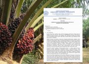 Pj Bupati Kampar Abaikan Surat Edaran Dirjen Kementan RI