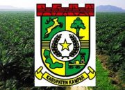 Pemda Kampar beranikah Ambil Tindakan kepada perusahaan sawit Belum Miliki JGU dan tak taat pajak