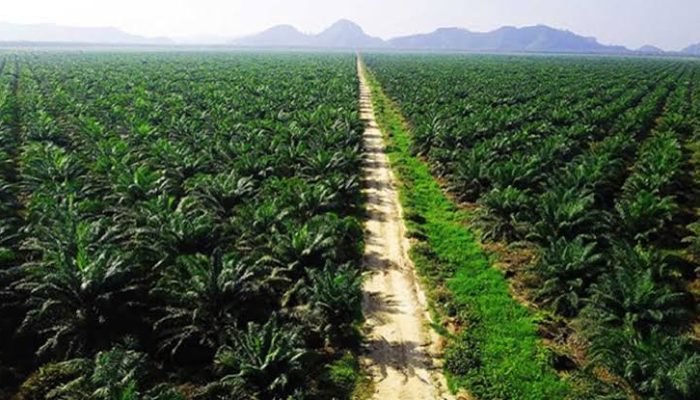 Pemda Kampar, Merilis Nama Nama  perusahaan perkebunan sawit yang diduga tidak Memiliki HGU,