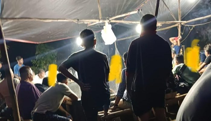 Warga Desak Aparat Segera Tutup Perjudian Sabung Ayam di Dekat Rumah Ibadah