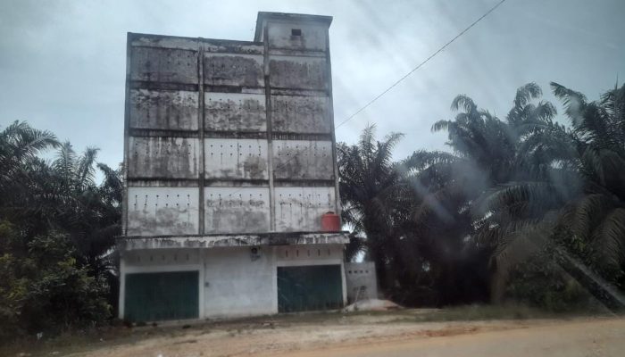 Diduga Ilegal, Pembangunan Sarang Walet di Gunung Sahilan Tak Beraturan dan Rugikan Warga