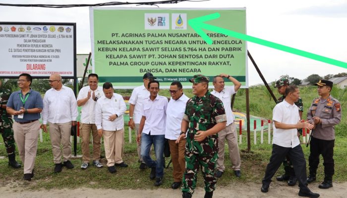 Negara Ambil Alih PT. Johan Sentosa, Pengelolaan Diserahkan ke PT. Agrinas Palma Nusantara