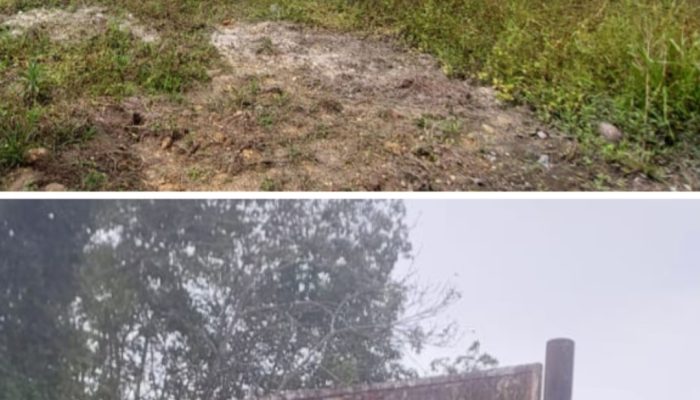 Aset Pemda Kampar Diduga Beralih Fungsi Jadi Tempat Penimbunan BBM, Kadis Marhalim Bungkam