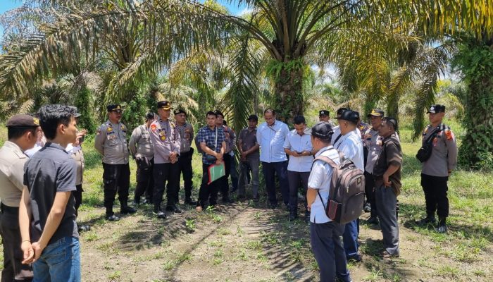 Pengadilan Negeri Bangkinang Eksekusi Lahan Sawit 2 Hektar di Kampar, Polisi Amankan Jalannya Proses