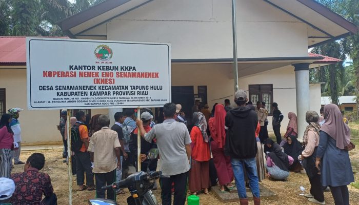 Ribuan Hektar Lahan Dikuasai Tanpa Upah, Warga Senama Nenek Hadang KNES, Tuntut Bupati Kampar Turun Tangan