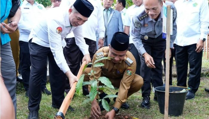 Bupati Kampar Resmikan Gerakan Tanam 1 Juta Pohon Matoa, Langkah Nyata Selamatkan Bumi