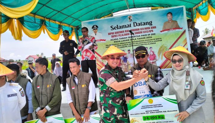 Danrem 031/WB Tinjau Opsla dan Tanam Padi Serentak di Pelalawan, Komitmen Wujudkan Swasembada Pangan Nasional