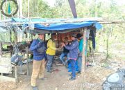 Viral Dugaan Ilegal Logging di Kampar, Ini Penjelasan Resminya