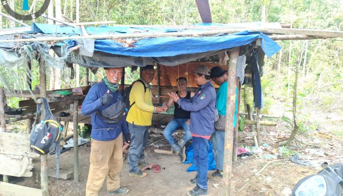 Viral Dugaan Ilegal Logging di Kampar, Ini Penjelasan Resminya