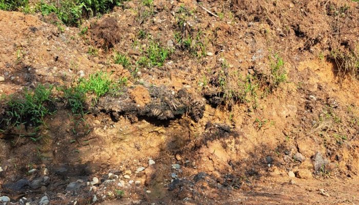 Dalih Keamanan Kebun, PT Padasa Tutup Akses Warga, Pemkab Kampar Diminta Tegas