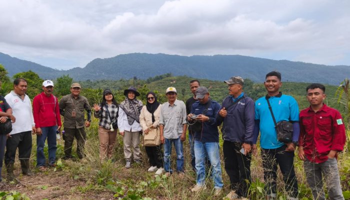 Sikat Sawit Ilegal !!! HKM Alam Mahligai dan BPS Kampar Bersatu Lindungi Hutan