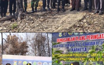 Sinergi Polres Kampar dan Pemda, Lahan Bekas Karhutla di Merangin Ditanami Pohon dan Dipasangi Plang Larangan