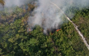 Kebakaran Lahan Kembali Terjadi di Salo Timur, Kampar. Warga Mengeluh Asap Memasuki rumah warga