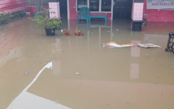 12 Jam Diguyur Hujan wilayah Kampar 3 Anak sungai Meluap, Puluhan rumah Warga Desa Silam Terendam Banjir