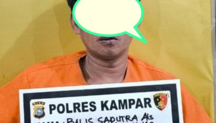 Tak butuh waktu lama, Polres Kampar Ungkap pelaku pembunuhan dipasir sialang