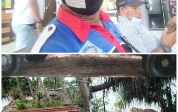 Ketua LAMI Kepri Minta Instansi yang terkait jangan tutup mata Tangkap para pengusaha ilegal kayu,