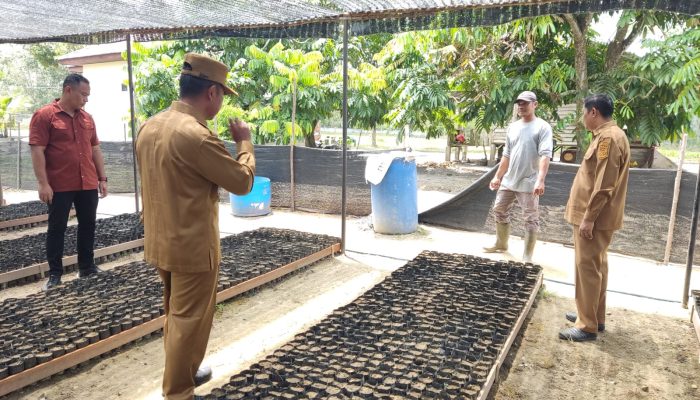 E-Katalog Bukan Alasan Tutupi Anggaran, Pengadaan Bibit Sawit di Kampar Jadi Polemik