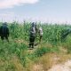 Kapolsek Bangkinang Barat Cek Lahan Jagung di PT Simas Sawit Aliantan