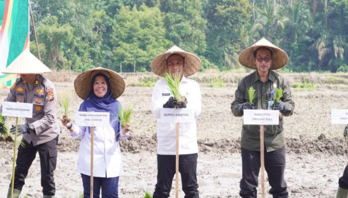 Tindak Lanjuti Asta Cita Presiden Prabowo, Bupati Kampar Ahmad Yuzar, Bergerak Menuju Swasembada Pangan