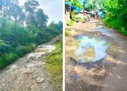 JALAN GUNUNGSITOLI–HILIDUHO–ALASA MAKIN PARAH, ROZAMA LASE DESAK GUBSU AMBIL ALIH JADI JALAN PROVINSI