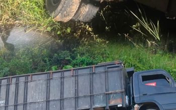 Buru Mafia Hutan Hingga Tengah Malam, Pergerakan Polres Kampar Diapresiasi LSM PENJARA