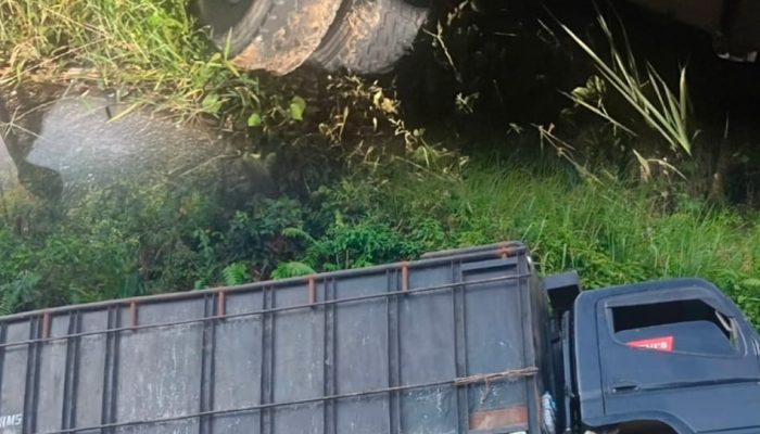 Buru Mafia Hutan Hingga Tengah Malam, Pergerakan Polres Kampar Diapresiasi LSM PENJARA