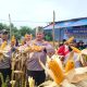 Kapolsek Kampar AKP Asdisyah Mursyid, SH Saat Panen Jagung Pipil bersama warga