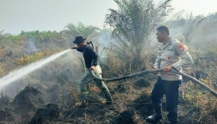 Lahan di Rumbio Jaya Terbakar, Polisi Pasang Garis Polisi dan Buru Pemilik Lahan