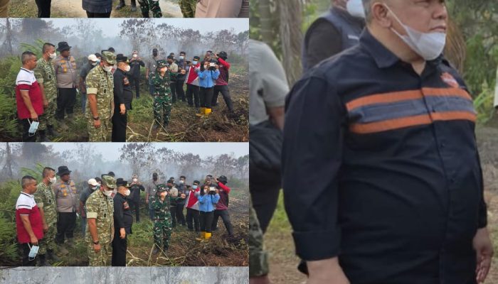 Kebakaran yang melanda kampar tak kujung padam, Para Pejabat riau kembali Tinjau Lokasi