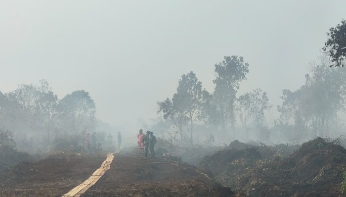 Plt Camat Kampa Nurkholis S. sos M. si Himbau Seluruh Kades Waspada Karlahut Memasuki Cuaca Ekstrim Diwilayah
