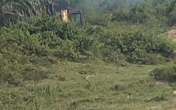 Pj Kades Gunung Bungsu Zulkawi Lempar Tanggung Jawab, Kasatpol PP Akan Bentuk TIM Yustisi