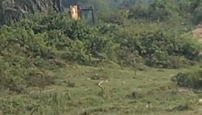 Pj Kades Gunung Bungsu Zulkawi Lempar Tanggung Jawab, Kasatpol PP Akan Bentuk TIM Yustisi